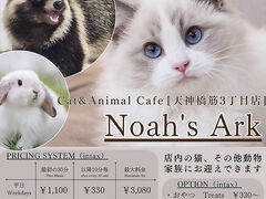 Cat&Animal Cafe Noah s Ark �m�A�Y�A�[�N ���V�_��3���ړX�̎ʐ^1