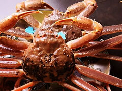 柏 蟹 天音の写真1