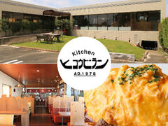 ヒコウビランの写真1