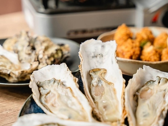 ���������t�B�[�o�[�V���X�̎ʐ^1