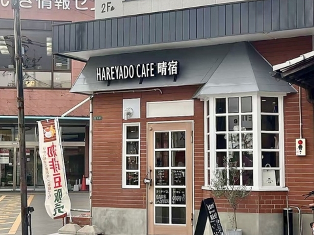 ���h�R�[�q�[�̎ʐ^1