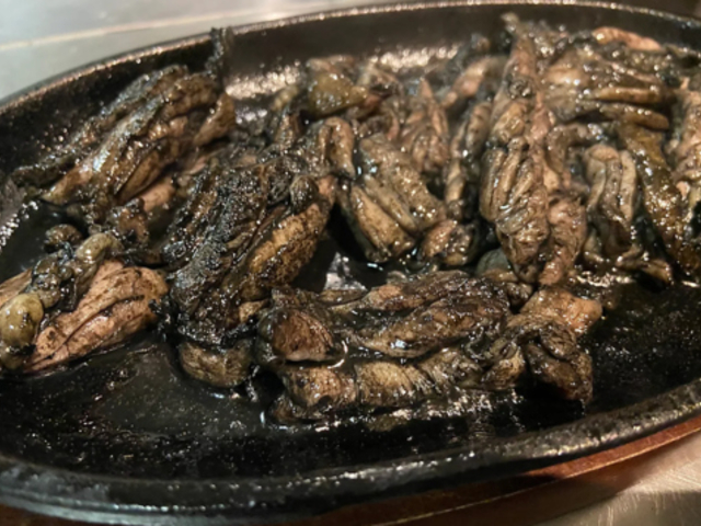 �� �c��X�̎ʐ^1