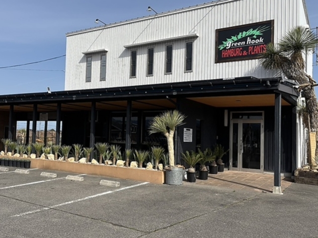 �O���[���t�b�N�@�n���o�[�O���v�����c�̎ʐ^1