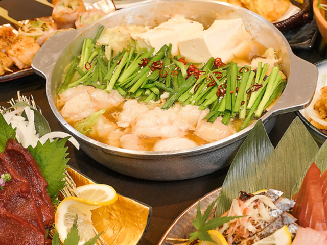 �J�� �h�X�̎ʐ^1