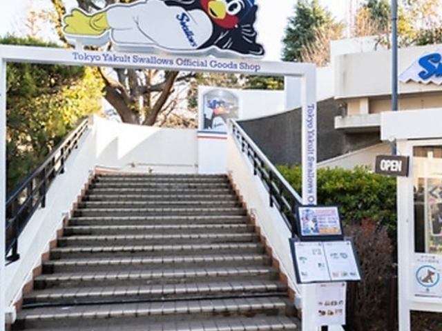 ������σJ�t�F�̎ʐ^1