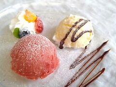 �_�y�� ���𗅏�̎ʐ^1