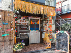 Coa Luminous �R�A���~�i�X�̎ʐ^1