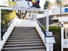 ������σJ�t�F�̎ʐ^1