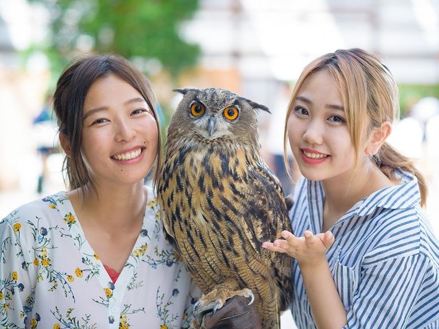 �t�N���E���̂��Ă݂悤_�|��Ԓ���