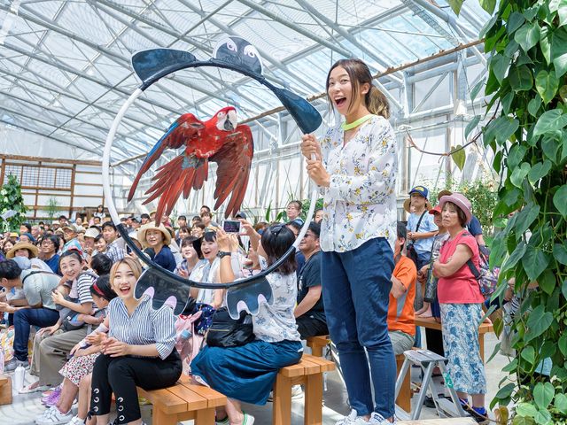 ���3��J�ÁA���������̃o�[�h�V���[_�|��Ԓ���