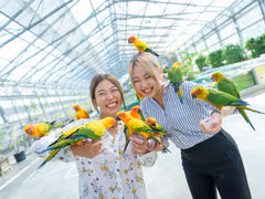 掛川花鳥園の写真1