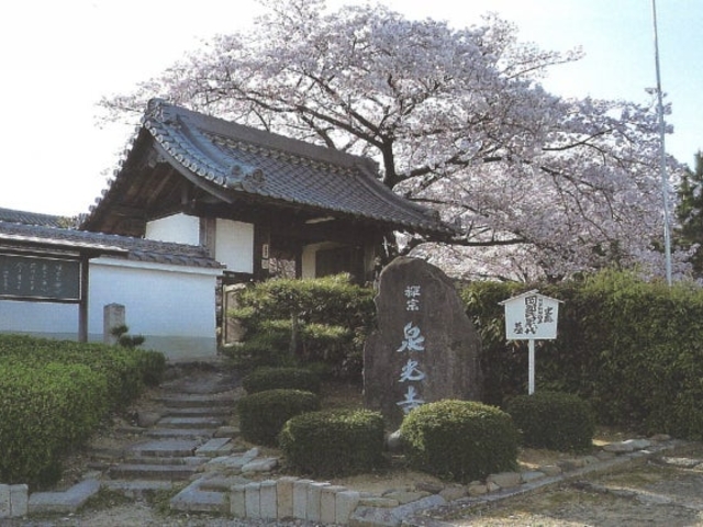 ������̎ʐ^1