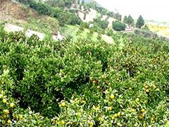 �k�㒬�ό��_��̎ʐ^