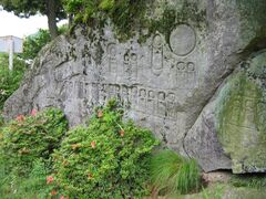 �㉹�H�̖��R���̎ʐ^1