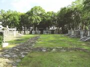 ������̎ʐ^2