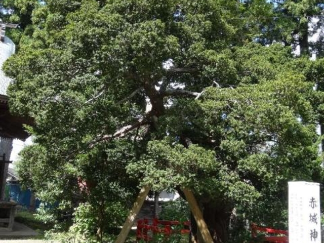 ��ʁi���񂱁j