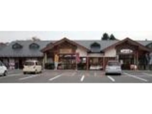 �Y���Ȃ������؊�