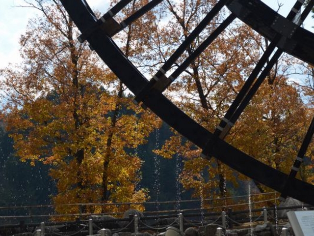 ���̉w�@���΂������s�E�R��