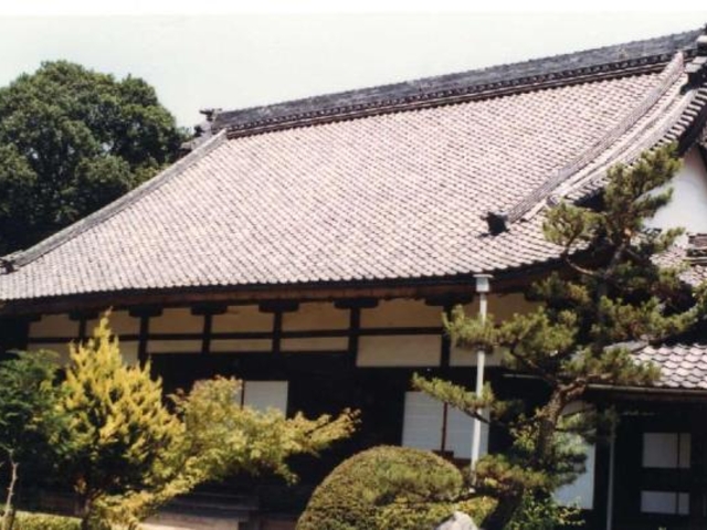 �T�����̎ʐ^1