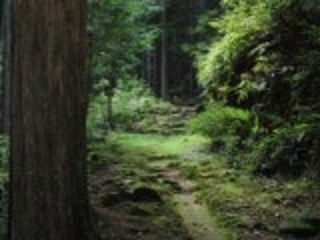 �]�����Y��E���Y��_�]�����Y��E���Y��