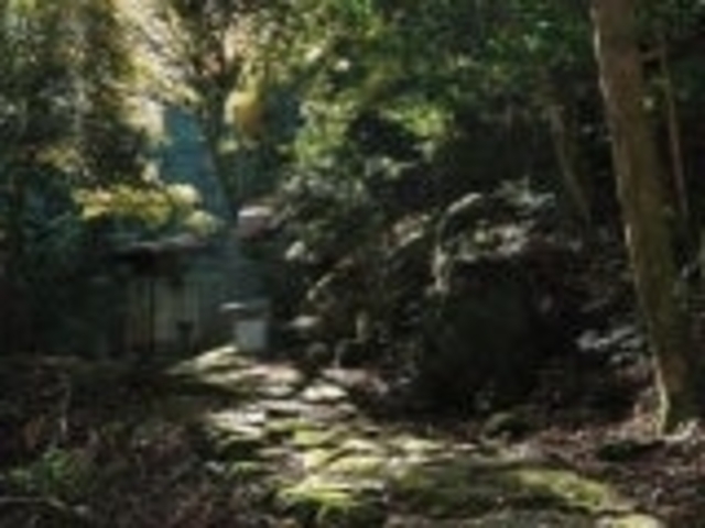 ���S�R_���S�R�z��