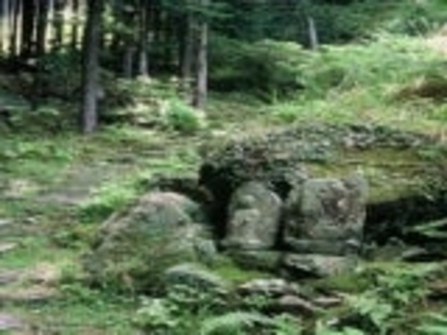 ���S�R_���S�R�z��