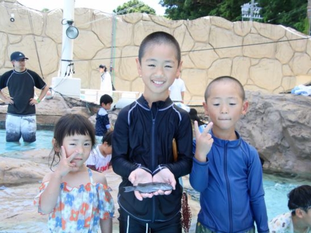 ��̌��{�݁@�C�ق�����