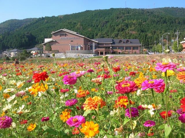 �����Z���^�[_�F���c�������������Z���^�[