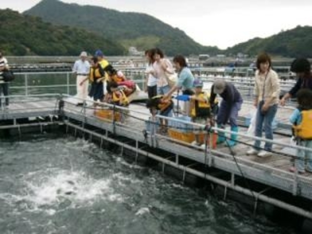 �̌��w�K�ك}�[�����b�R