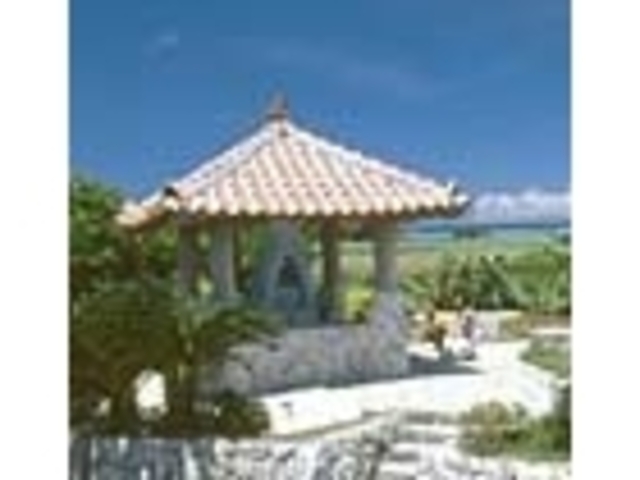 �́E�Xꢎq�̕�̎ʐ^1