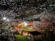 �{�������̎ʐ^2