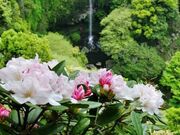 �����̑ꎩ�R�ԉ��̎ʐ^1