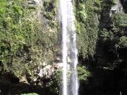 �����̑ꎩ�R�ԉ��̎ʐ^3