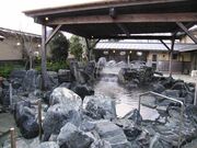 �T���X�p�����ނ� �V�R����呺��̉؂̎ʐ^1