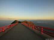 ���l���W�]��̎ʐ^2