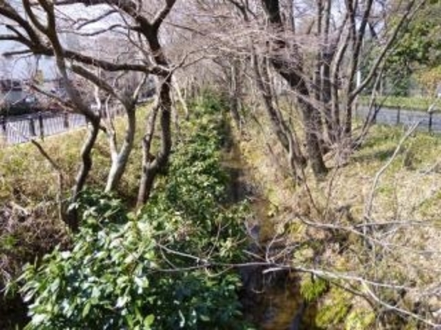 �ʐ�㐅_�ʐ�㐅