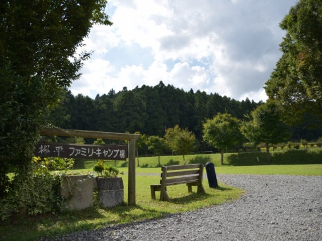 ��a��O���t�@�~���[�L�����v��̎ʐ^1