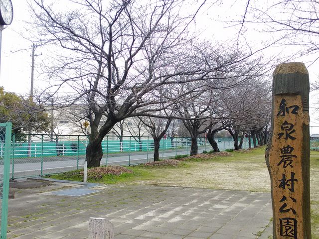 鍋田川堤桜並木