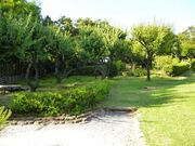 ����̗������̎ʐ^2