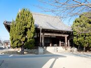 �_�g�̏�y���̎ʐ^1