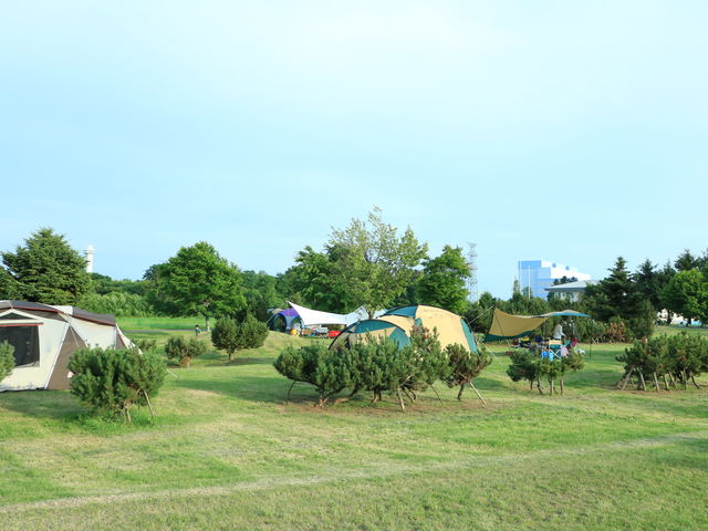 אڎ{݁uLvTCgiLvjv_ӂꈤ̗