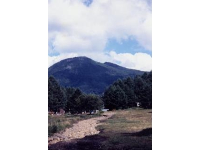 ���U�m�o�R