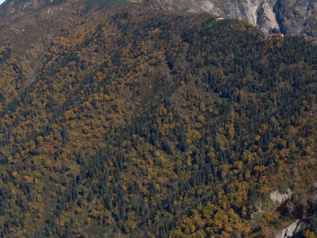 ���������x