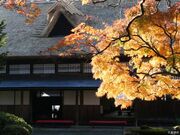 ���ۑ��̎ʐ^2