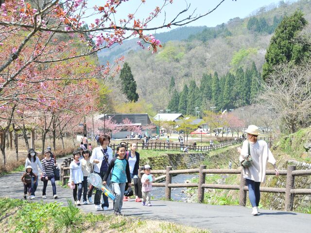 �����̗��@�P�H����