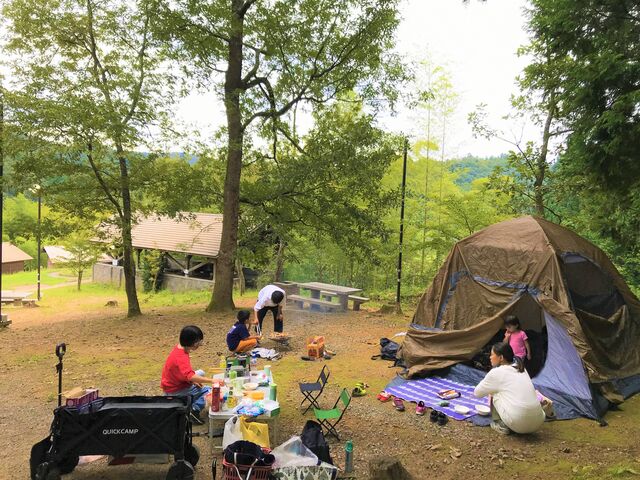 �D���|�ь���