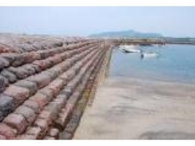 �{���l�`�h�g��i�q�C��j�̎ʐ^1