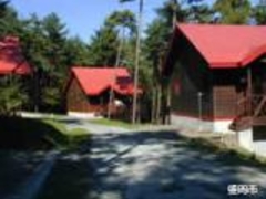 �����s�s��ǂ��̐X�̎ʐ^1