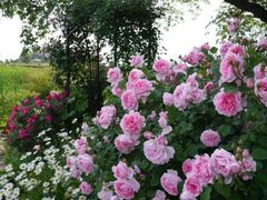 ザ・ナチュラル・ガーデンズ・オブ・サカノの写真1