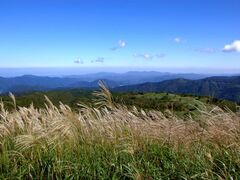 上山高原のススキ草原の写真1
